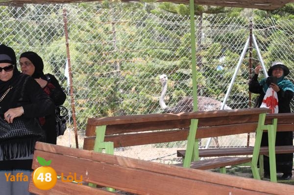 re7la mo2asaasa 0521 (22).JPG